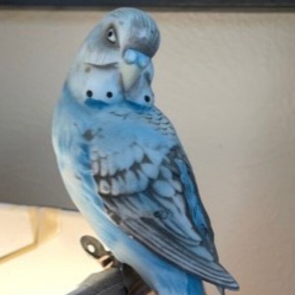 Cute! Vintage Porcelain Bisque Parakeet/Budgie Clip on Bird - Picture 9 of 9